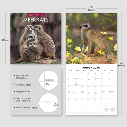 Red Robin Stokstaartjes Kalender 2026