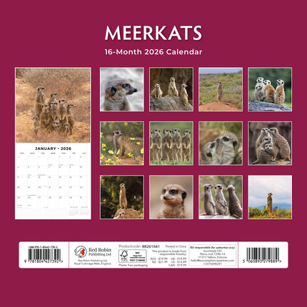 Red Robin Stokstaartjes Kalender 2026