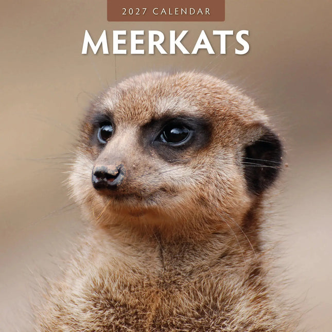 Red Robin Stokstaartjes Kalender 2027