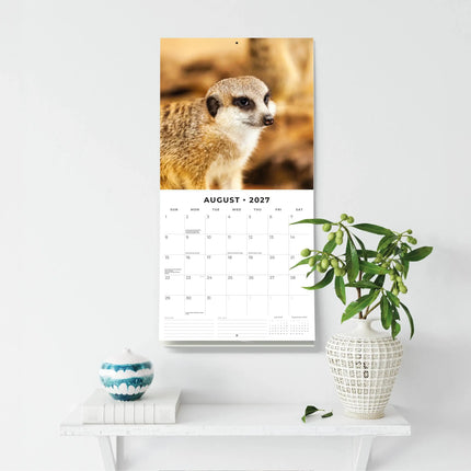 Red Robin Stokstaartjes Kalender 2027