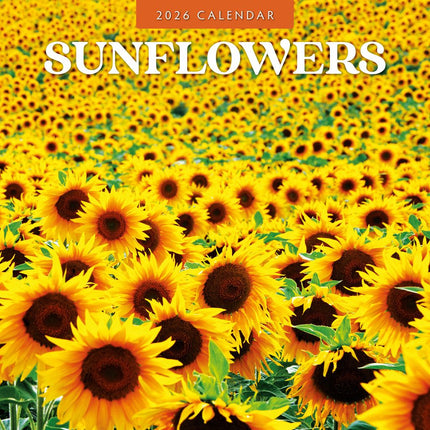 Red Robin Sunflowers Kalender 2026