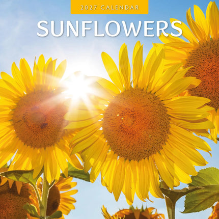 Red Robin Sunflowers Kalender 2027