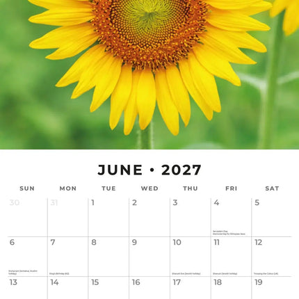 Red Robin Sunflowers Kalender 2027