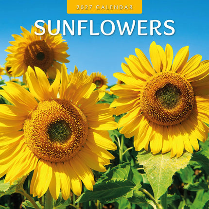 Red Robin Sunflowers Kalender 2027
