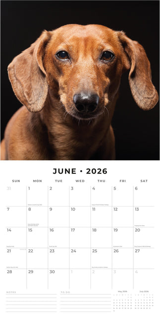 Red Robin Teckel Kalender 2026