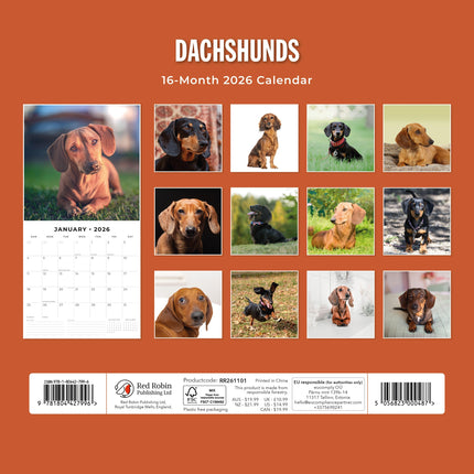 Red Robin Teckel Kalender 2026