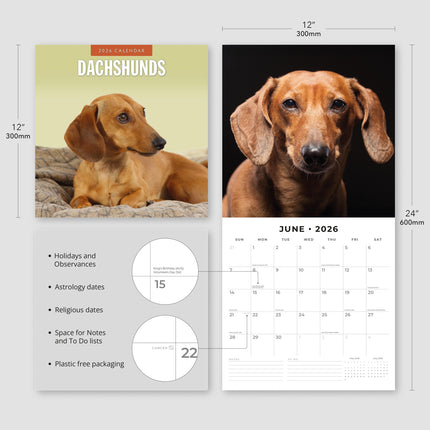 Red Robin Teckel Kalender 2026