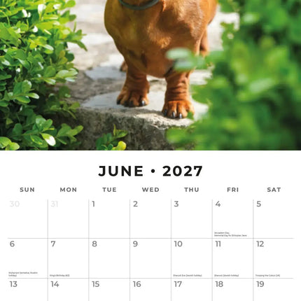 Red Robin Teckel Kalender 2027