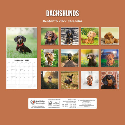 Red Robin Teckel Kalender 2027