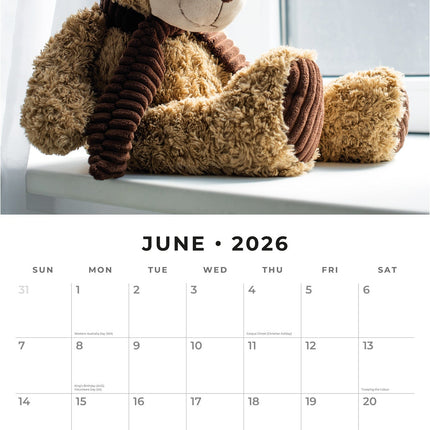 Red Robin Teddy Bears Kalender 2027