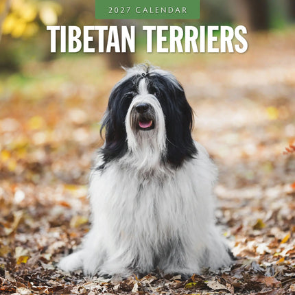 Red Robin Tibetaanse Terrier Kalender 2027