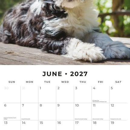Red Robin Tibetaanse Terrier Kalender 2027