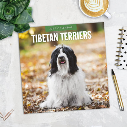 Red Robin Tibetaanse Terrier Kalender 2027