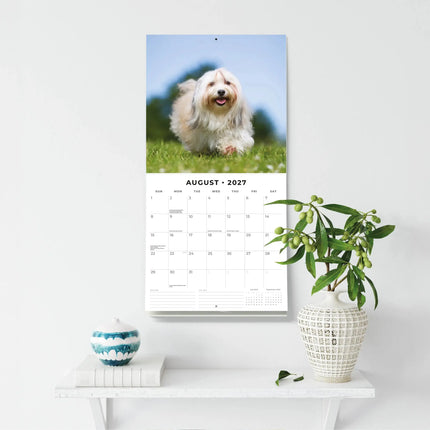 Red Robin Tibetaanse Terrier Kalender 2027
