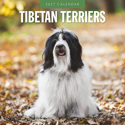 Red Robin Tibetaanse Terrier Kalender 2027