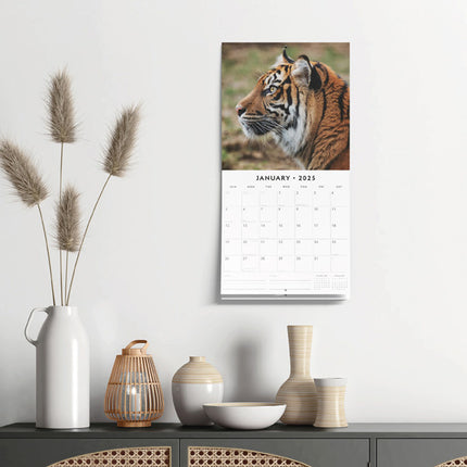 Red Robin Tijger Kalender 2025