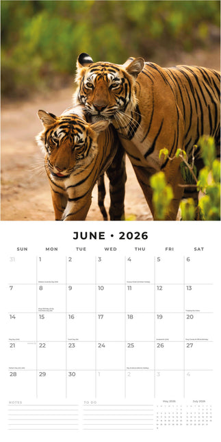 Red Robin Tijger Kalender 2026