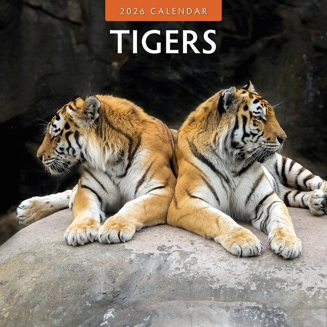 Red Robin Tijger Kalender 2026