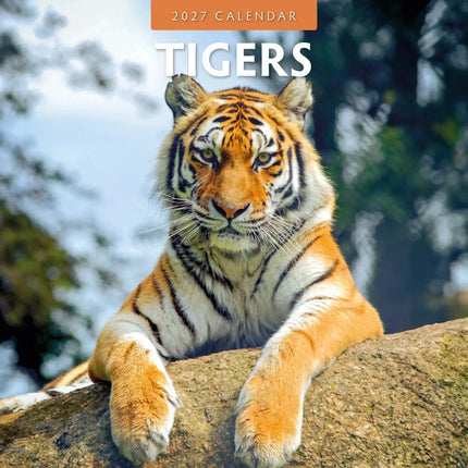 Red Robin Tijger Kalender 2027