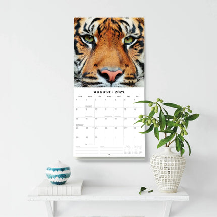Red Robin Tijger Kalender 2027
