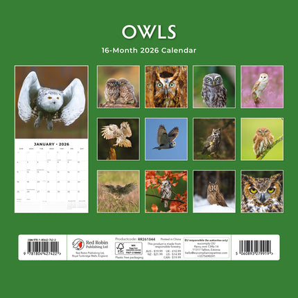 Red Robin Uilen Kalender 2026
