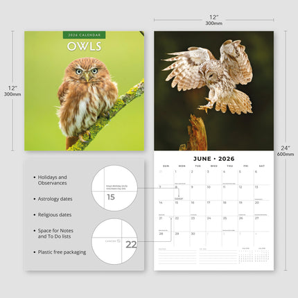 Red Robin Uilen Kalender 2026