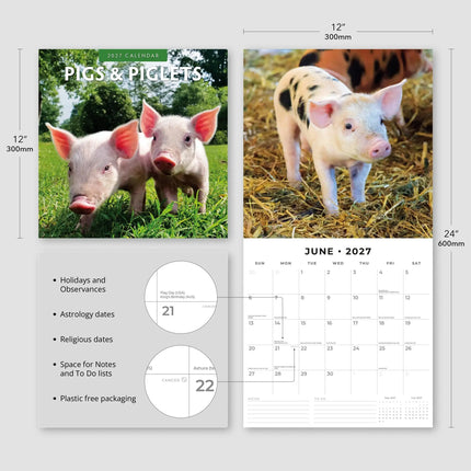Red Robin Varken Kalender 2027
