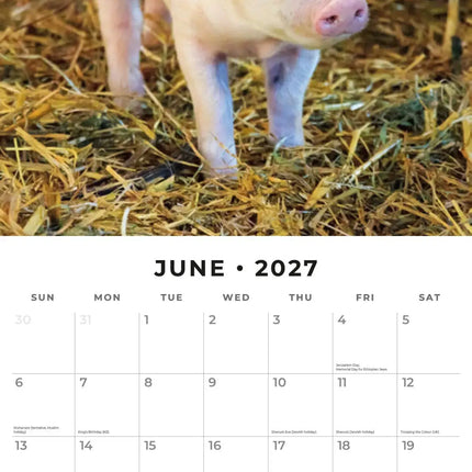 Red Robin Varken Kalender 2027