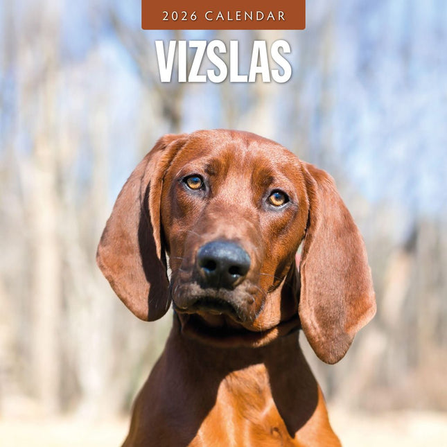 Red Robin Vizsla Kalender 2026