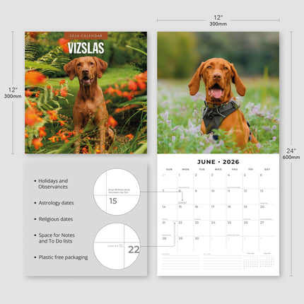 Red Robin Vizsla Kalender 2026