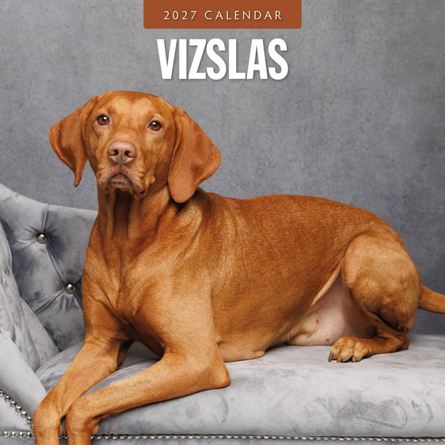 Red Robin Vizsla Kalender 2027