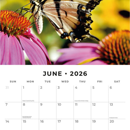 Red Robin Vlinder Kalender 2026