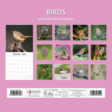 Red Robin Vogels Kalender 2026