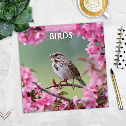 Red Robin Vogels Kalender 2026