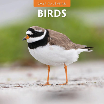 Red Robin Vogels Kalender 2027