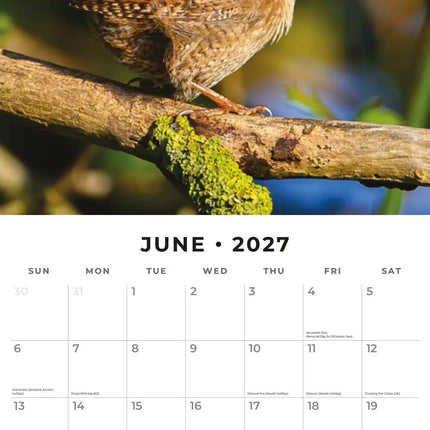 Red Robin Vogels Kalender 2027