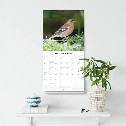 Red Robin Vogels Kalender 2027