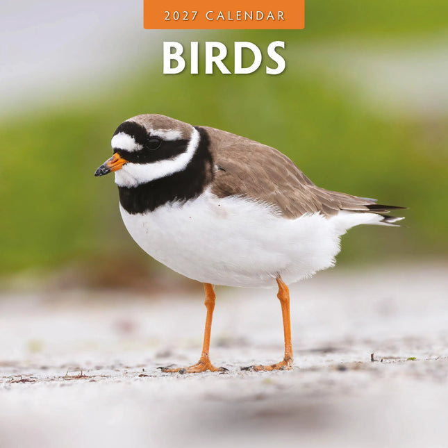 Red Robin Vogels Kalender 2027