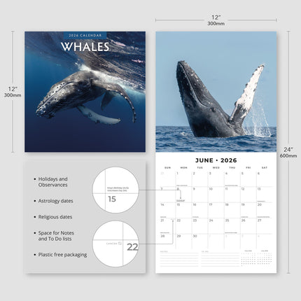Red Robin Walvissen Kalender 2026