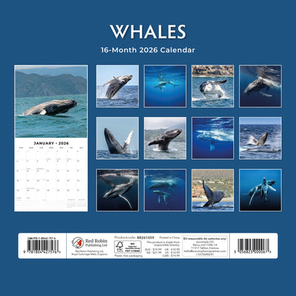 Red Robin Walvissen Kalender 2026