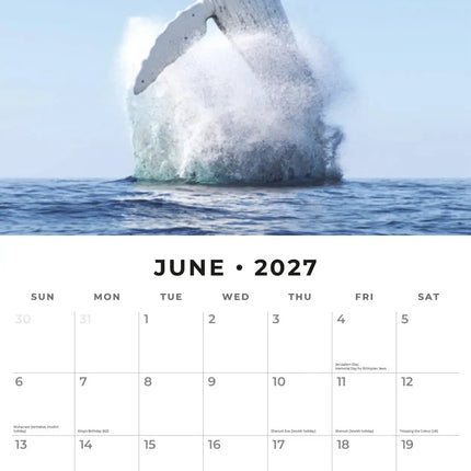 Red Robin Walvissen Kalender 2027