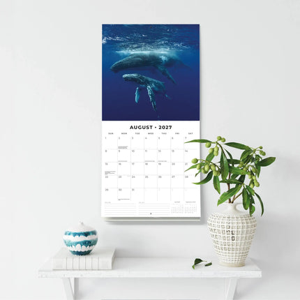 Red Robin Walvissen Kalender 2027