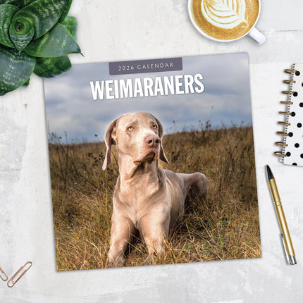 Red Robin Weimaraner Kalender 2026