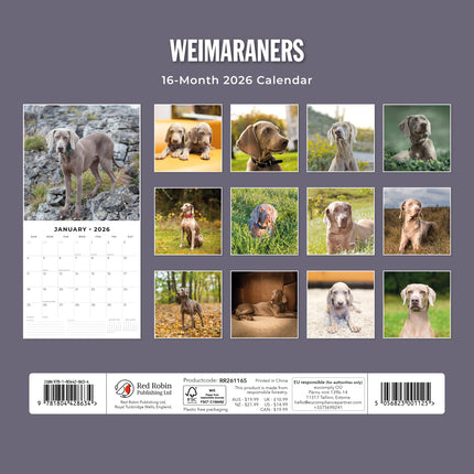Red Robin Weimaraner Kalender 2026