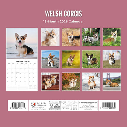 Red Robin Welsh Corgi Kalender 2026