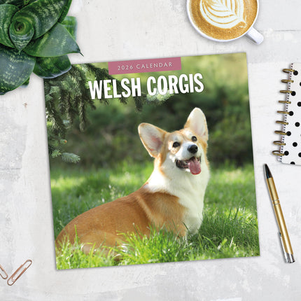 Red Robin Welsh Corgi Kalender 2026