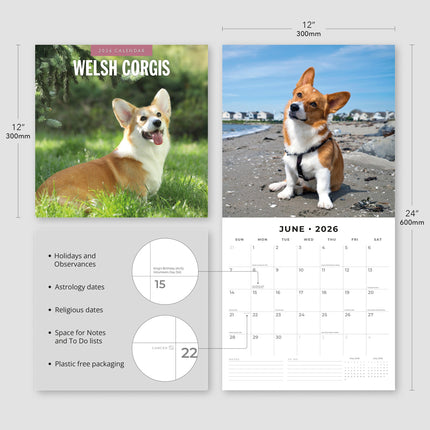 Red Robin Welsh Corgi Kalender 2026