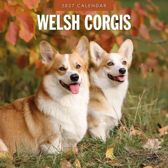 Red Robin Welsh Corgi Kalender 2027