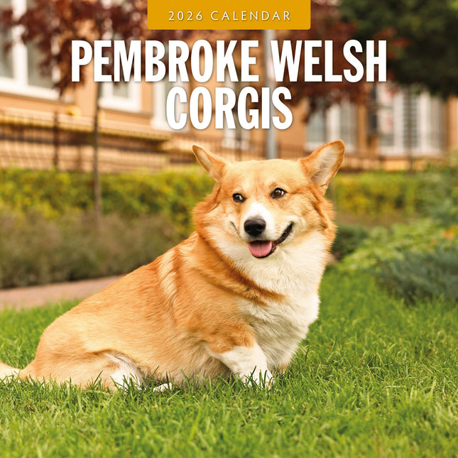 Red Robin Welsh Corgi Pembroke Kalender 2027