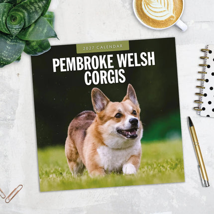Red Robin Welsh Corgi Pembroke Kalender 2027